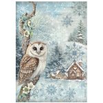 DFSA41052 The Owl's House A4 Rice Paper-Owl