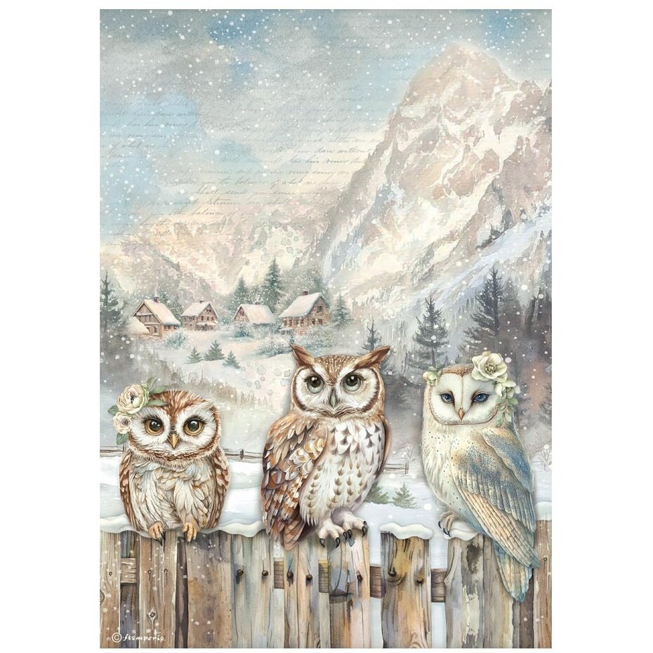 DFSA41054 The Owl's House A4 Rice Paper-3 Owls