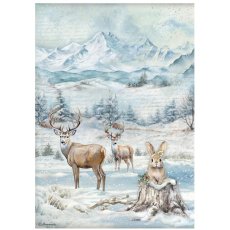 DFSA41055 The Owl's House A4 Rice Paper-Wildlife