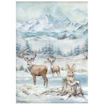 DFSA41055 The Owl's House A4 Rice Paper-Wildlife