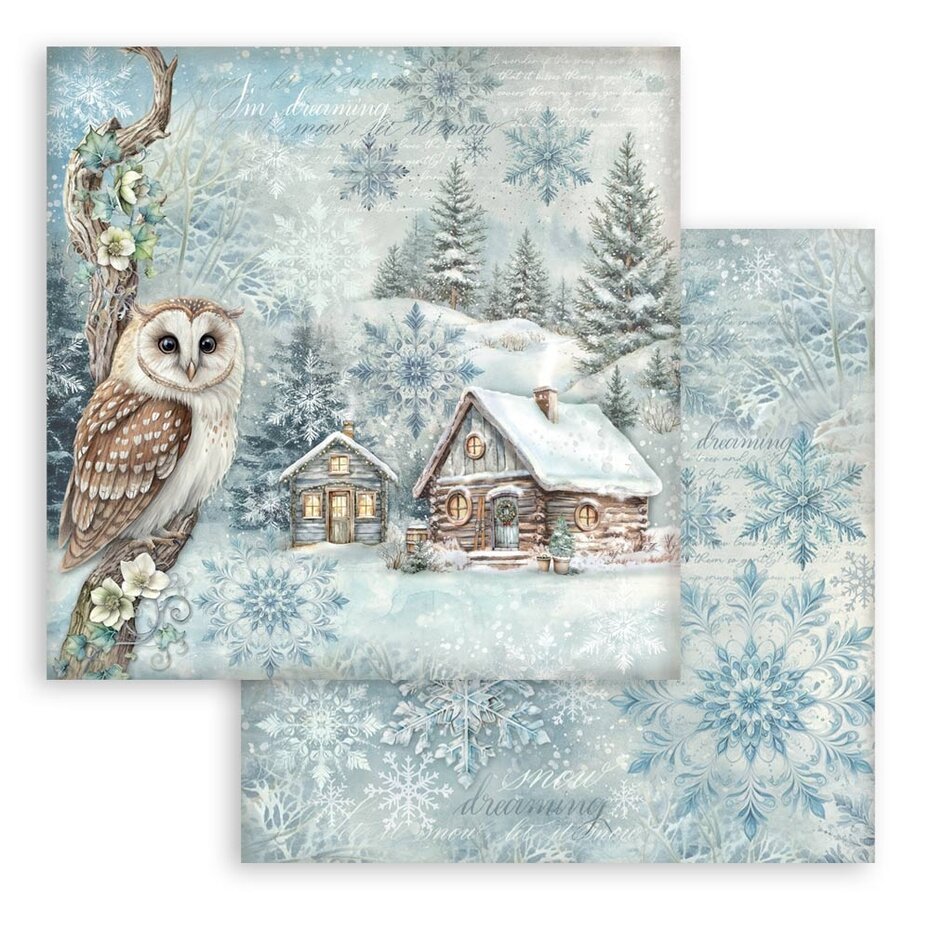 SBBL174 Stamperia The Owl's House 12x12 Inch Paper Pack