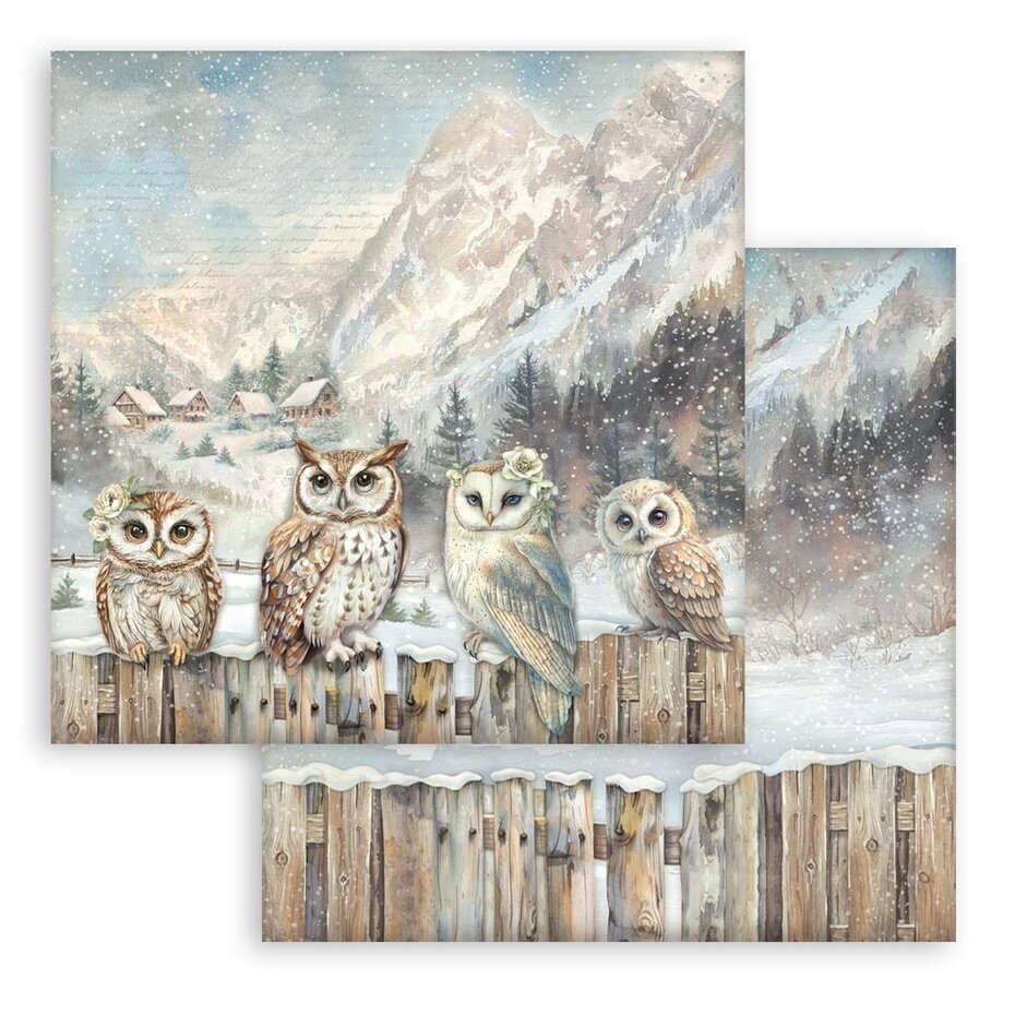 SBBL174 Stamperia The Owl's House 12x12 Inch Paper Pack