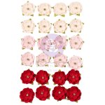 PM679446 Cherry Sweet Flowers Cherry Kisses (24pcs)