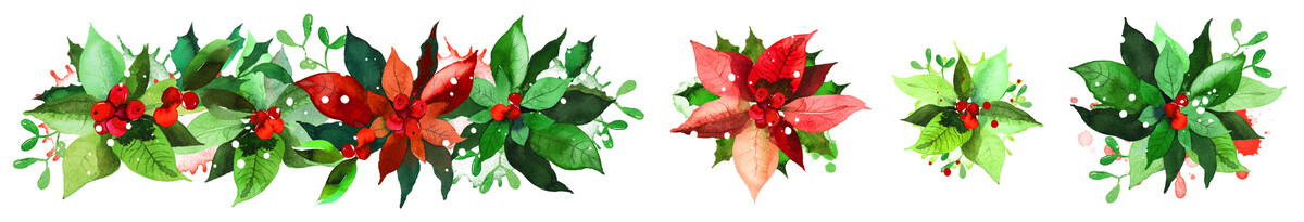ACSCT0005 Season of Joy Kiss-Cut PET Tape Poinsettia (5cmx5m)