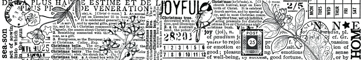 ACSCT0006 Season of Joy Journal PET Tape Continuous (5cmx5m)