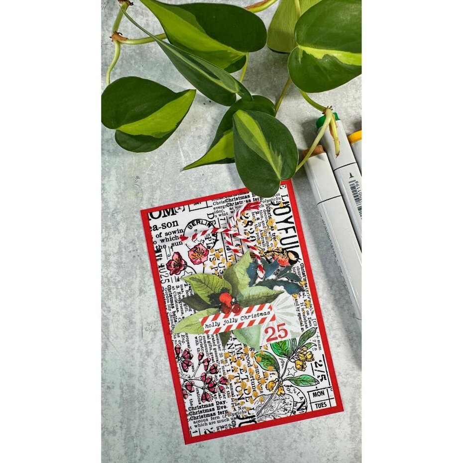 ACSCT0006 Season of Joy Journal PET Tape Continuous (5cmx5m)