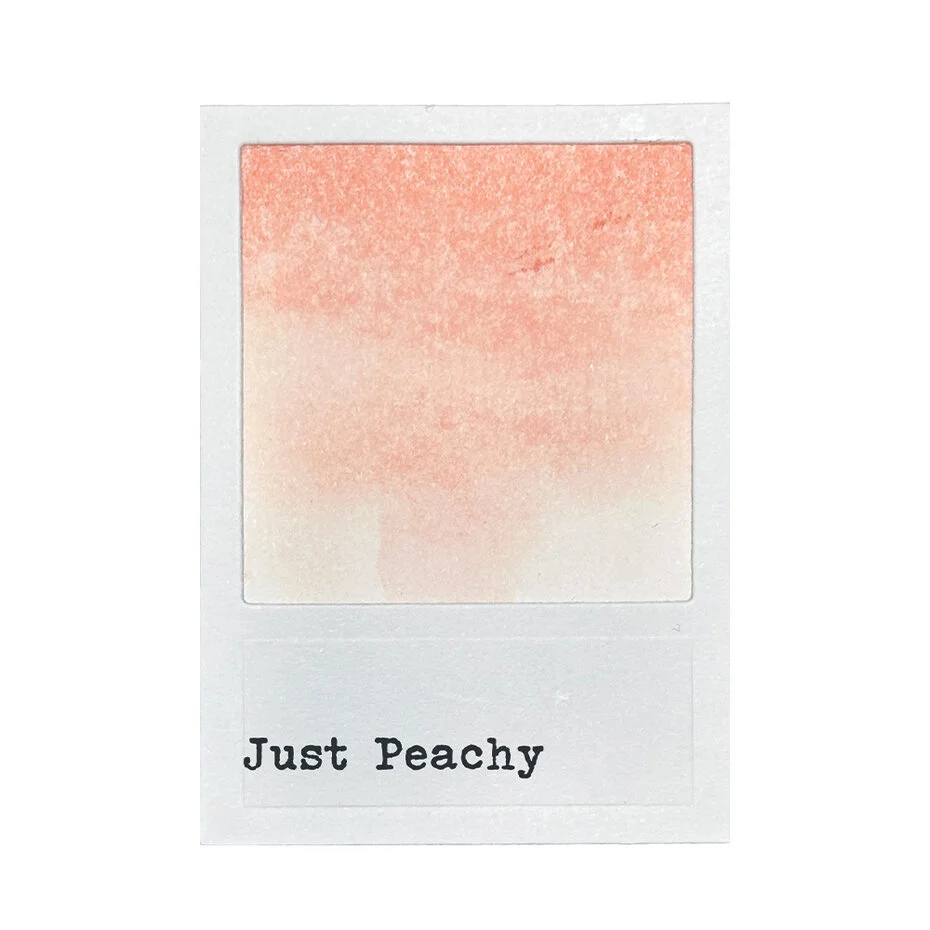 FMP92414 49 & Market Dye Ink Pad-just peachy