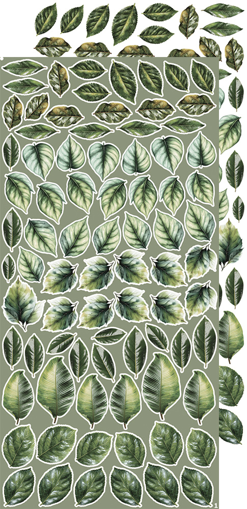 CC-CEX-MIX-04 CREATIVE EXTRAS - MIX 04 - ALL LEAVES