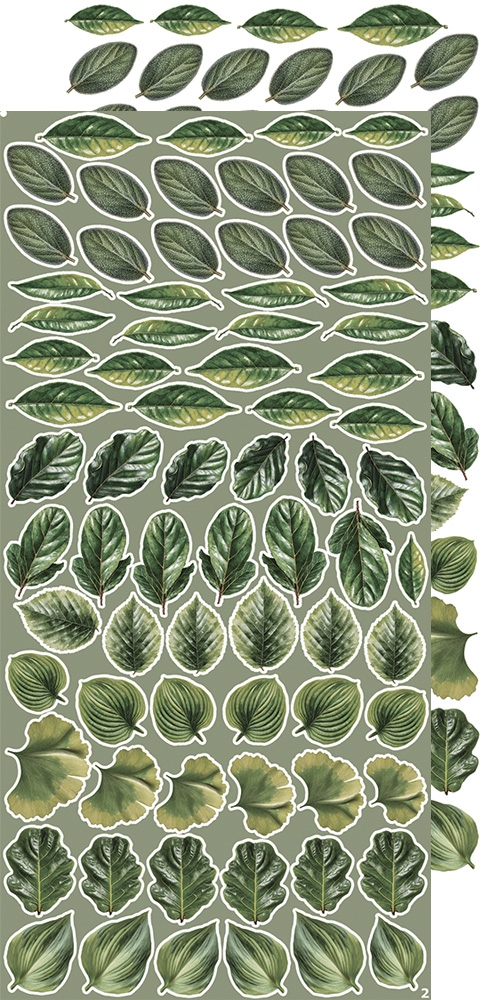 CC-CEX-MIX-04 CREATIVE EXTRAS - MIX 04 - ALL LEAVES