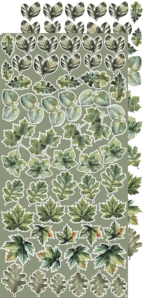 CC-CEX-MIX-04 CREATIVE EXTRAS - MIX 04 - ALL LEAVES