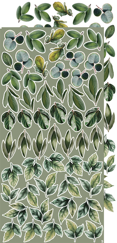 CC-CEX-MIX-04 CREATIVE EXTRAS - MIX 04 - ALL LEAVES