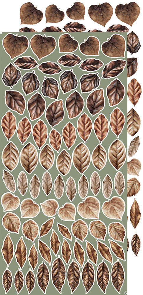 CC-CEX-MIX-04 CREATIVE EXTRAS - MIX 04 - ALL LEAVES