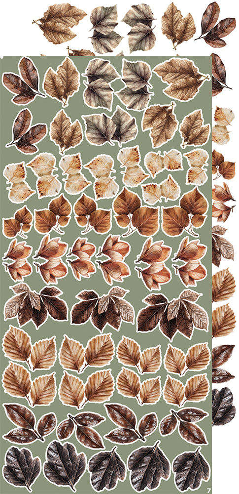 CC-CEX-MIX-04 CREATIVE EXTRAS - MIX 04 - ALL LEAVES