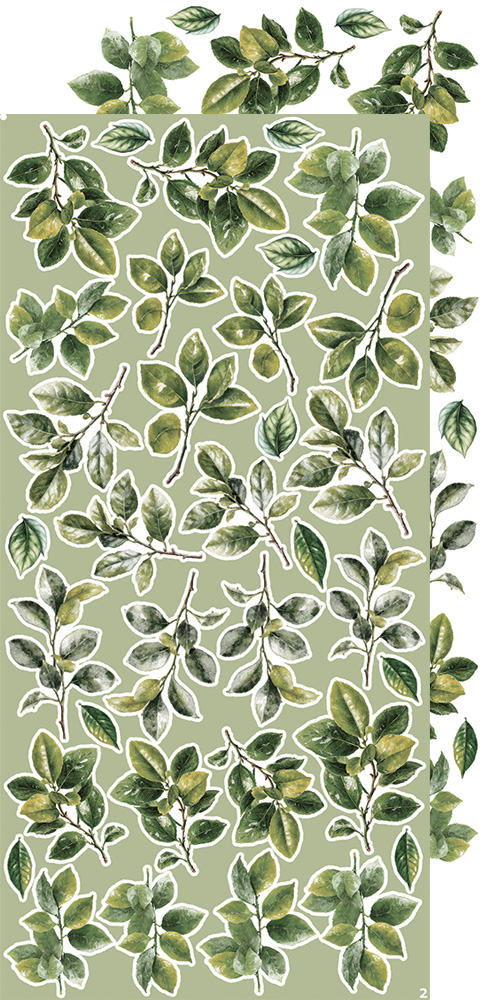 CC-CEX-MIX-04 CREATIVE EXTRAS - MIX 04 - ALL LEAVES