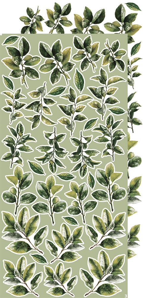 CC-CEX-MIX-04 CREATIVE EXTRAS - MIX 04 - ALL LEAVES