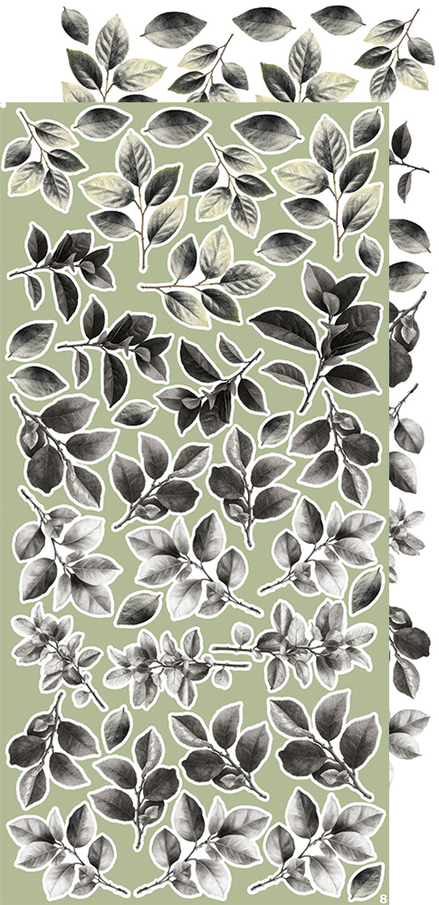 CC-CEX-MIX-04 CREATIVE EXTRAS - MIX 04 - ALL LEAVES
