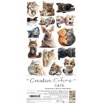 CC-CEX-03 CREATIVE EXTRAS - 03 - CATS