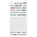 MT-MAN-13PL Man Cave Paper stickers - elements PL - MINTAY