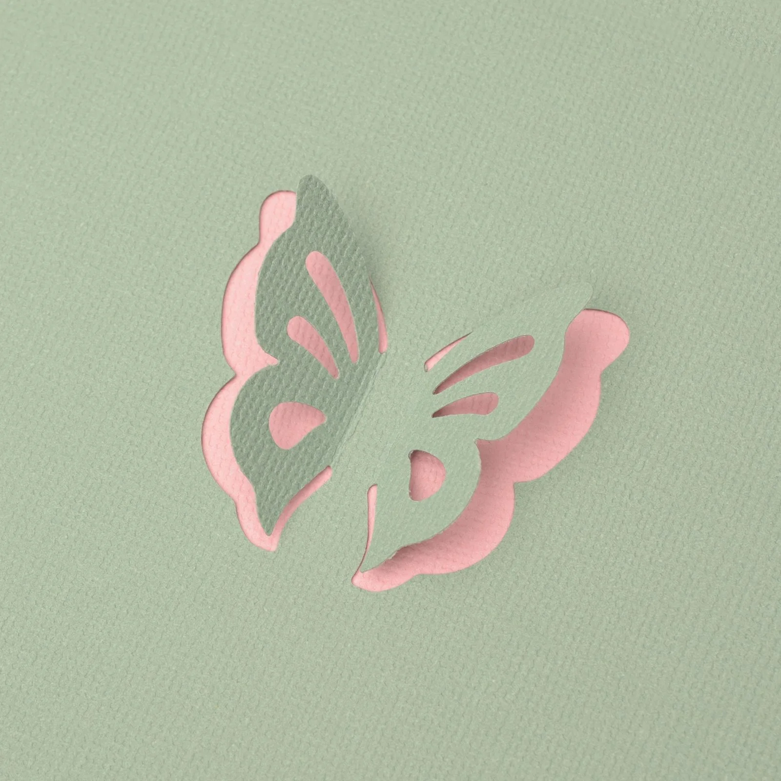 21445-001 Magnetic Punch 3D Butterfly 3.8x4.6cm