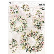 AA-SPRING-RP-11  Alchemy of Art  Rice paper  A4 -SPRING 11