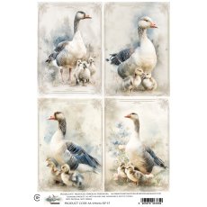 AA-SPRING-RP-15  Alchemy of Art  Rice paper  A4 -SPRING 15