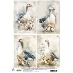 AA-SPRING-RP-15  Alchemy of Art  Rice paper  A4 -SPRING 15