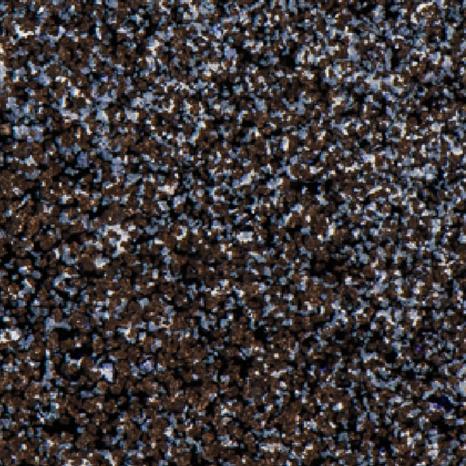 WL46R Wow Embossing Powder - Colour Blends -Oiled Slate - Regular