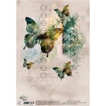 AA-COLLAGE-RP-02 Alchemy of Art  Rice paper  A4 