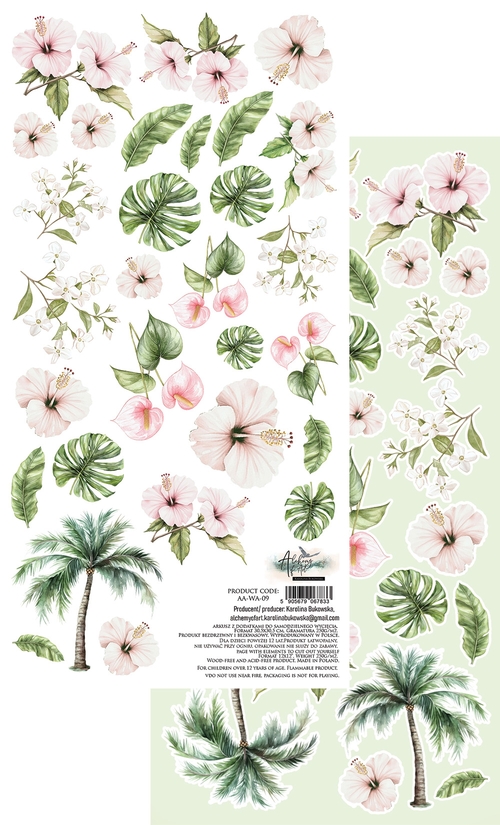 AA-WA-09 Paper sheet 6x12'' Wild adventures flowers