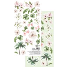 AA-WA-09 Paper sheet 6x12'' Wild adventures flowers