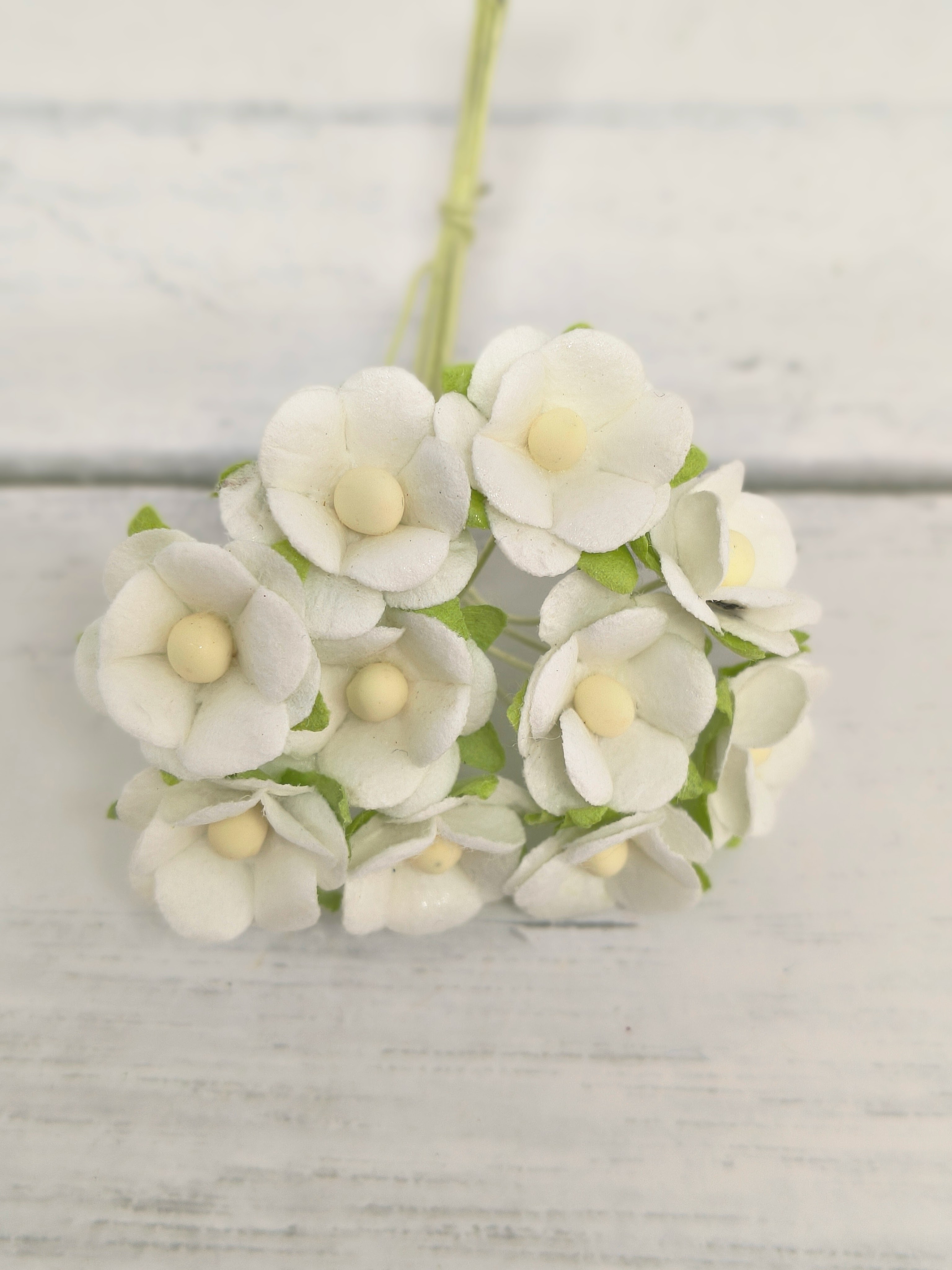 AC-S10m-1 White Achillea Cottage I am RosesPaper Flowers - 5pcs