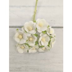 AC-S10m-1 White Achillea Cottage I am RosesPaper Flowers - 5pcs