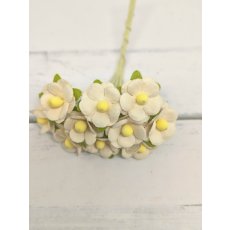 AC-S10m-11 SOLID BEIGE- Achillea Cottage I am Roses Paper Flowers - 5pcs
