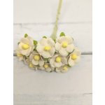 AC-S10m-11 SOLID BEIGE- Achillea Cottage I am Roses Paper Flowers - 5pcs