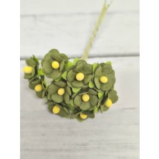 AC-S10m-12 GREEN- Achillea Cottage I am Roses Paper Flowers - 5pcs