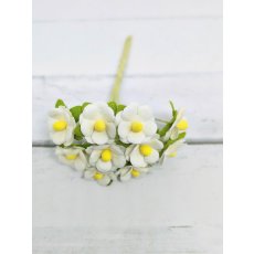 AC-S10m-13 WHITE- Achillea Cottage I am Roses Paper Flowers - 5pcs