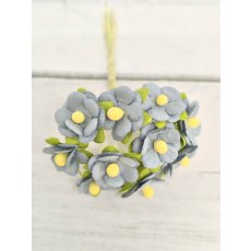AC-S10m-2 BABY BLUE- Achillea Cottage I am Roses Paper Flowers - 5pcs