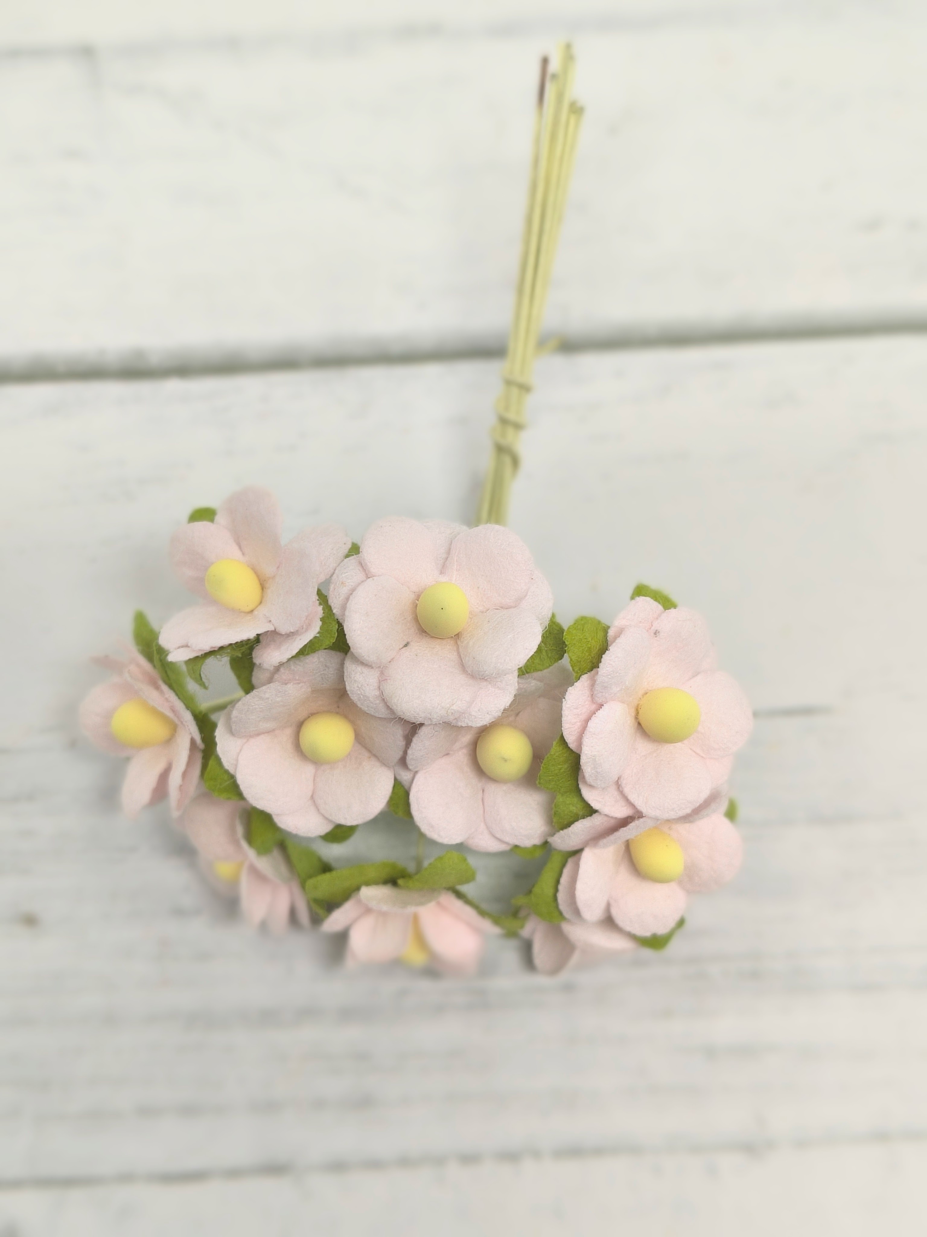 AC-S10m-3 BABY PINK- Achillea Cottage I am Roses Paper Flowers - 5pcs