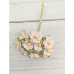 AC-S10m-3 BABY PINK- Achillea Cottage I am Roses Paper Flowers - 5pcs