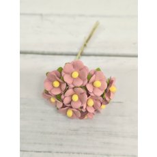 AC-S10m-5 DUSTY PINK- Achillea Cottage I am Roses Paper Flowers - 5pcs