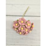 AC-S10m-5 DUSTY PINK- Achillea Cottage I am Roses Paper Flowers - 5pcs