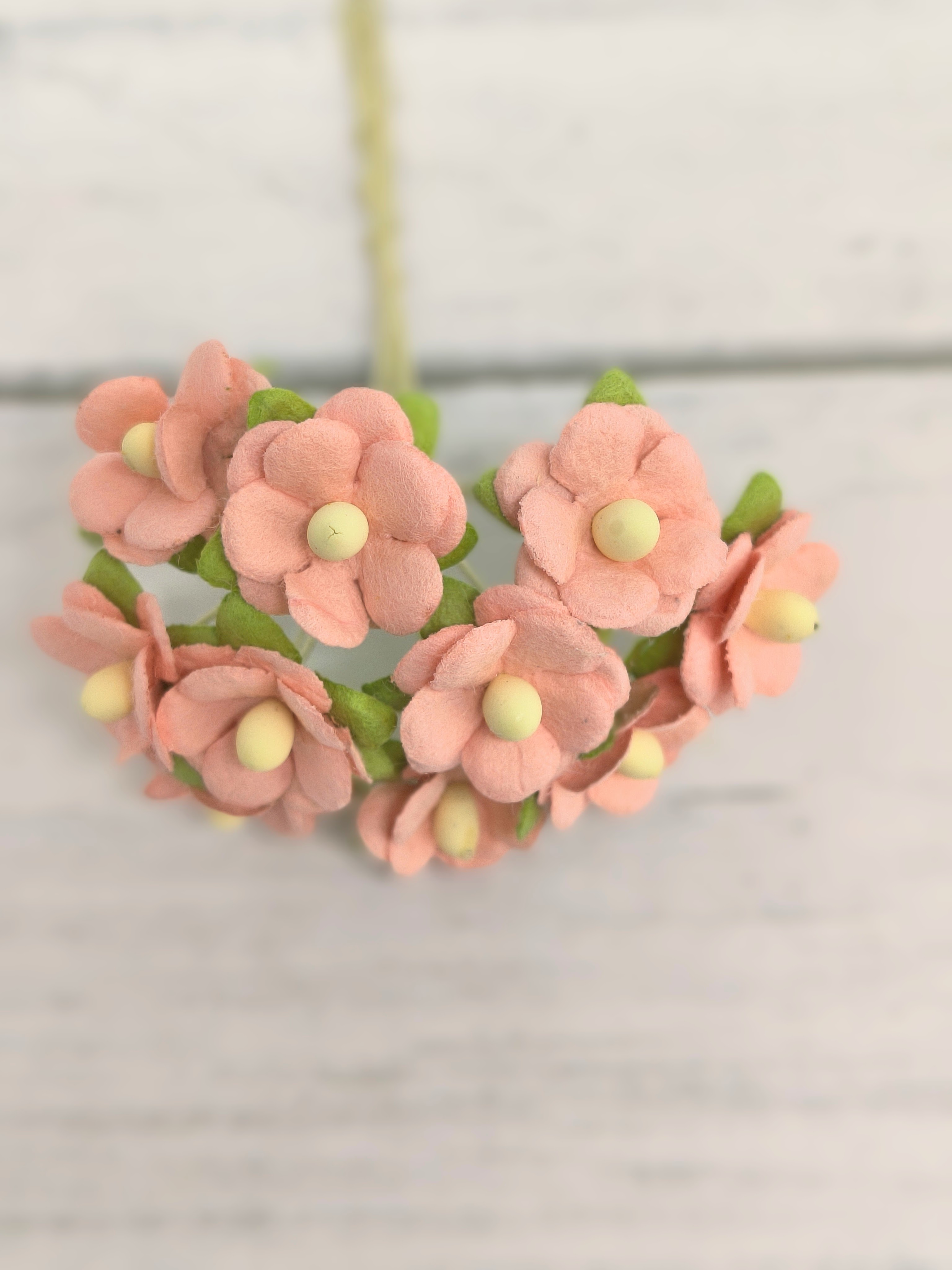 AC-S10m-8 SALMON RED- Achillea Cottage I am Roses Paper Flowers - 5pcs