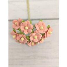AC-S10m-8 SALMON RED- Achillea Cottage I am Roses Paper Flowers - 5pcs