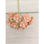 AC-S10m-8 SALMON RED- Achillea Cottage I am Roses Paper Flowers - 5pcs