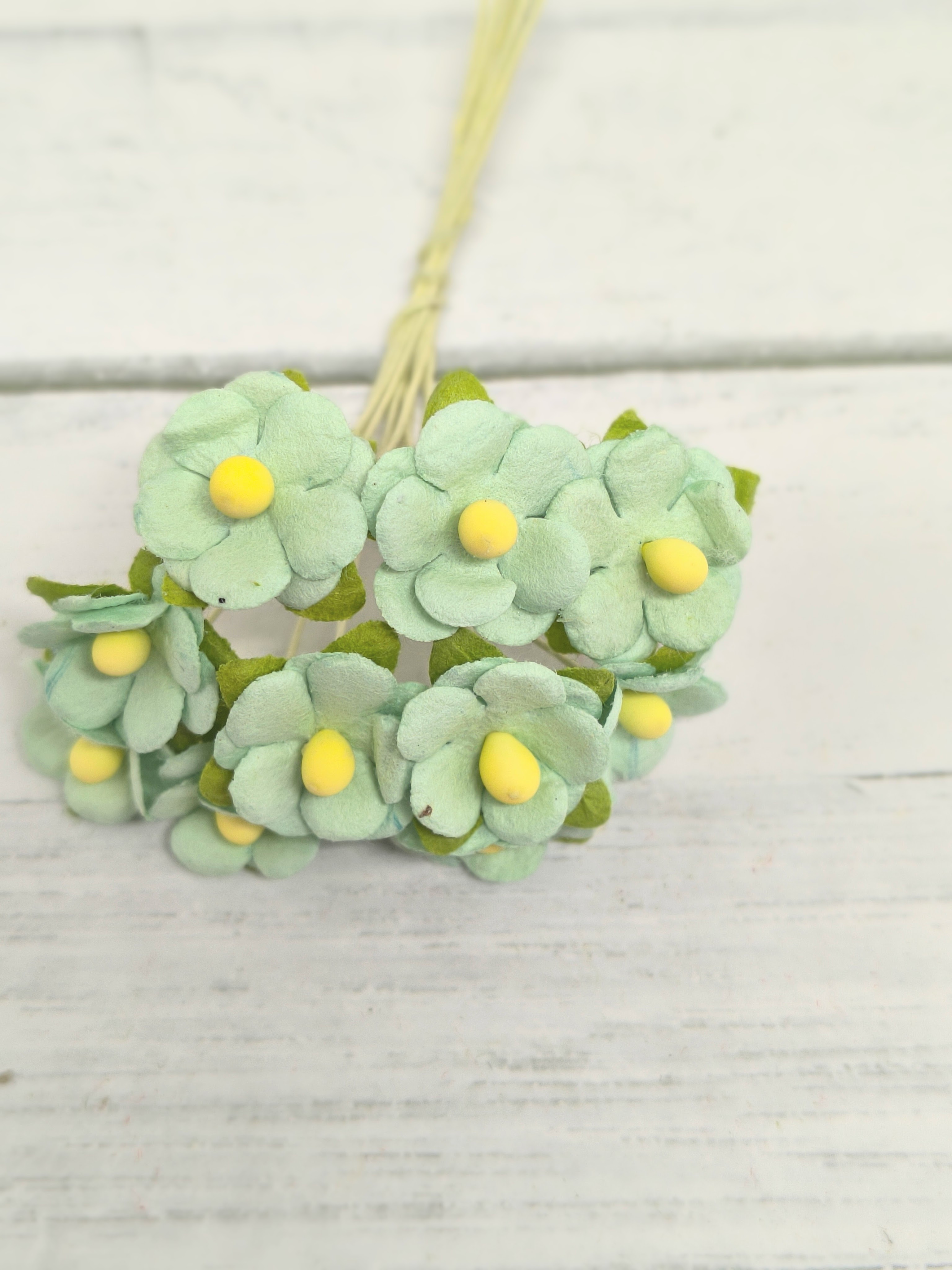 AC-S10m-9 SOLID AQUA BLUE- Achillea Cottage I am Roses Paper Flowers - 5pcs