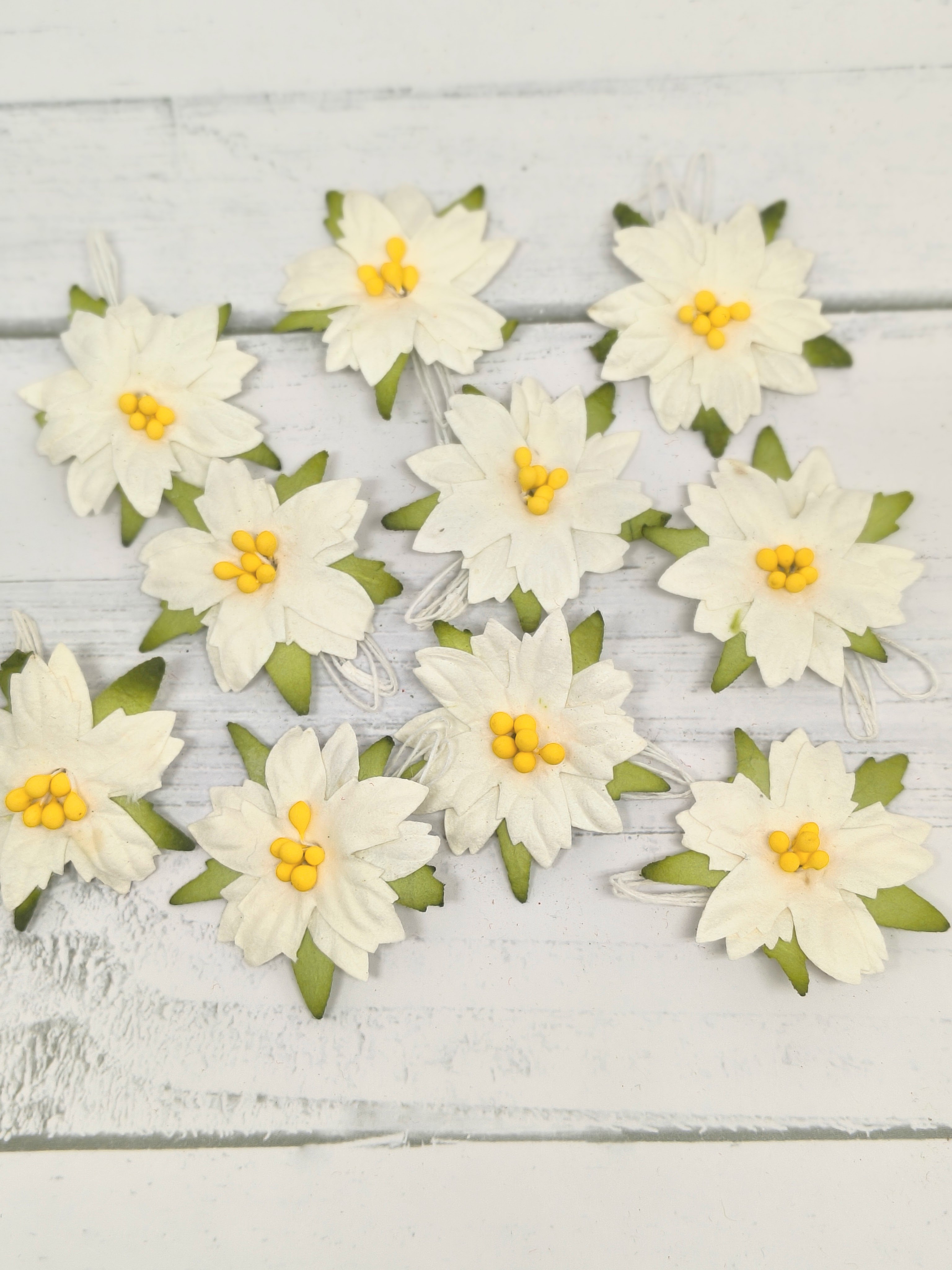 C-15 Small White Christmas Poinsettia 10pcs