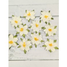 C-15 Small White Christmas Poinsettia  10pcs