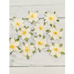 C-15 Small White Christmas Poinsettia 10pcs