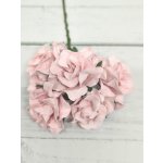 CF-G2-4 Open Roses I am Roses Paper Flowers -BABY PINK 5pcs