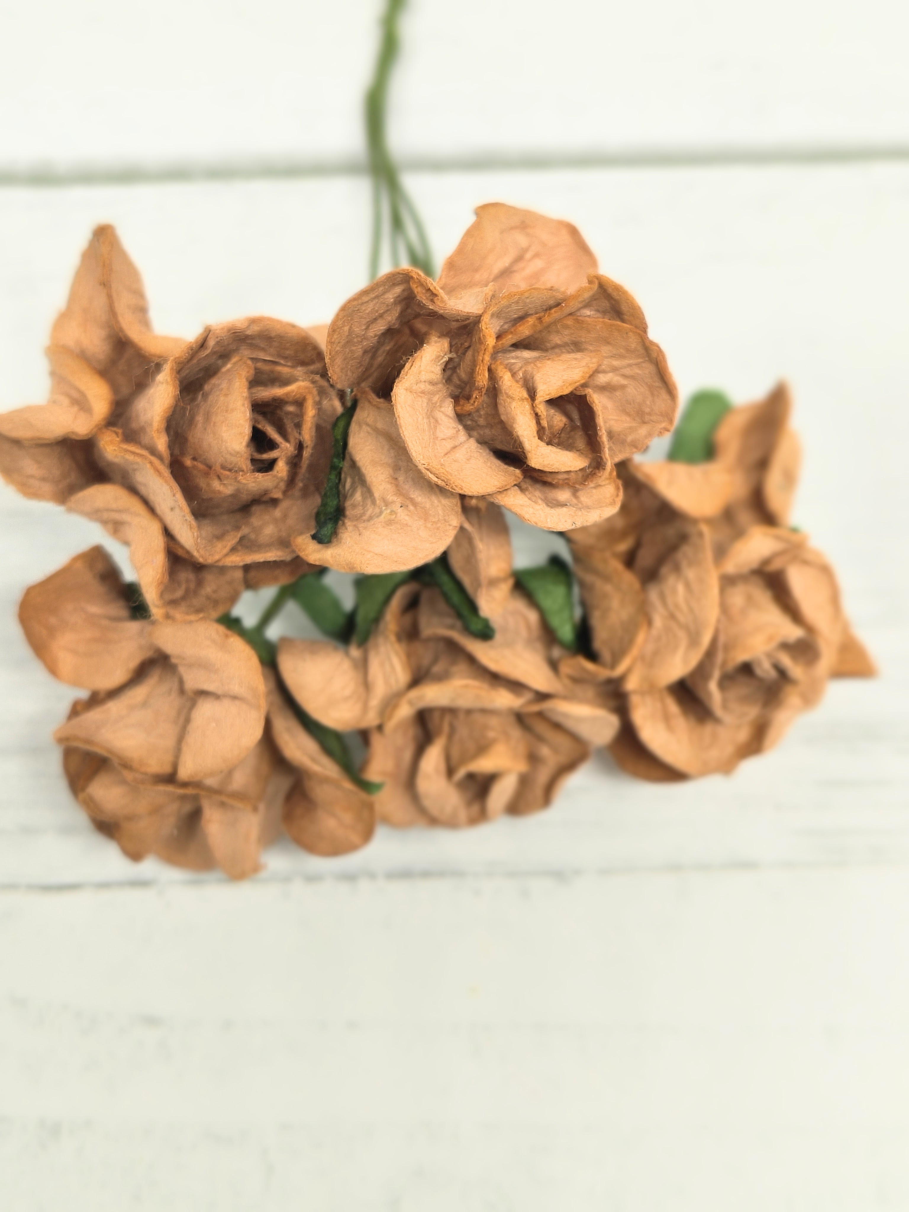 CF-G2-8 Open Roses I am Roses Paper Flowers -CARAMEL BROW 5pcs